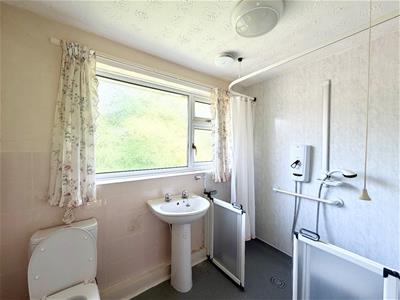Picture 7